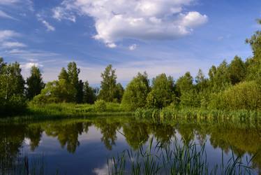 Similar image 5598111