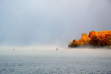 Similar image 5598133