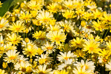 Similar image 5598204