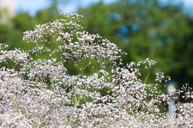 Similar image 5598205