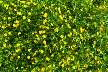 Similar image 5598208