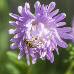 Similar image 5598221