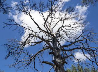 Similar image 5598225