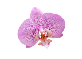 Similar image 5598237