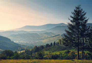 Similar image 5598286