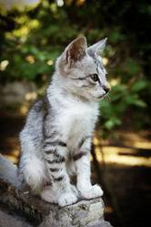 Similar image 5598305