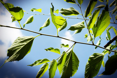 Similar image 5598307