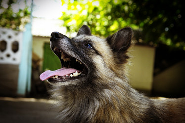 Similar image 5598308