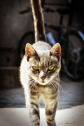 Similar image 5598309