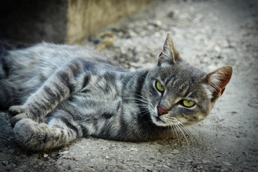 Similar image 5598310