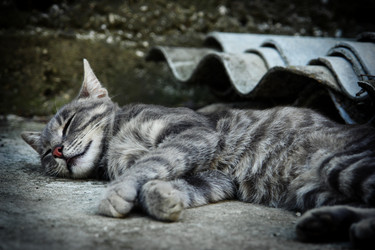 Similar image 5598311