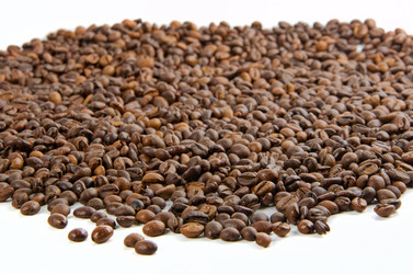 Similar image 5598359