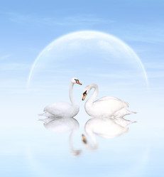 Similar image 5598464