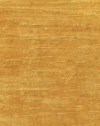 Similar image 5598569