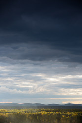 Similar image 5598590