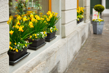 Similar image 5598593