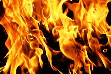 Similar image 5598601