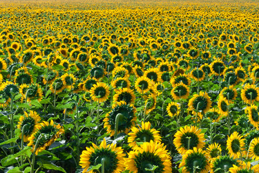 Similar image 5598604