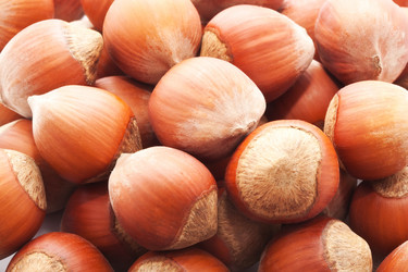 Similar image 5598617