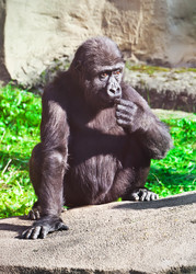 Similar image 5598645