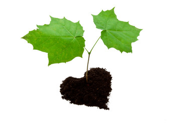 Similar image 5598670