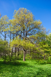 Similar image 5598673