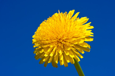 Similar image 5598674