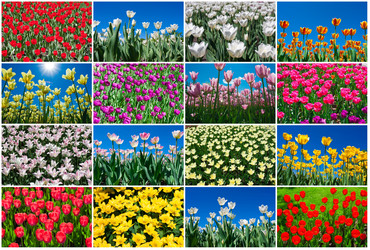 Similar image 5598676