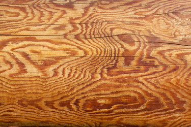 Similar image 5598691