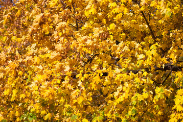 Similar image 5598693