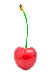 Similar image 5598700