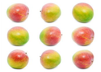 Similar image 5598715