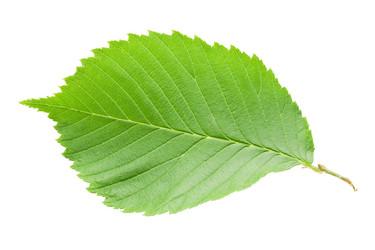 Similar image 5598726