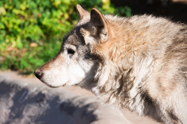 Similar image 5598733