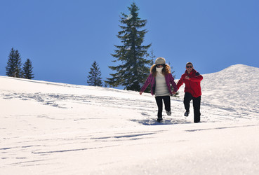 Similar image 5599329