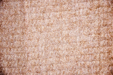 Similar image 5599654