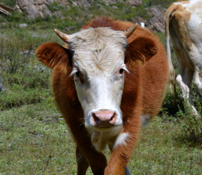 Similar image 5599813