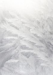 Similar image 5600086