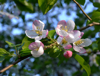 Similar image 5600130