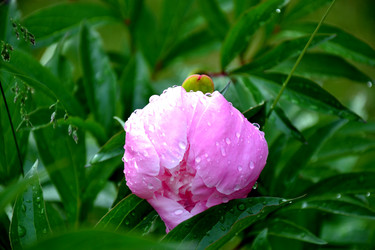 Similar image 5600133