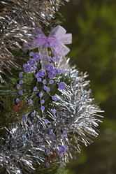 Similar image 5600219