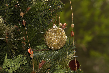 Similar image 5600222