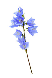 Similar image 5600268