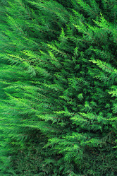 Similar image 5600273