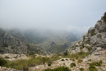 Similar image 5600411