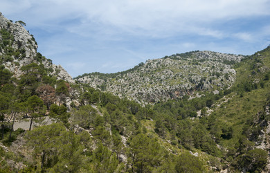 Similar image 5600415