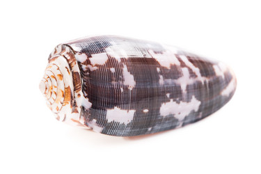 Similar image 5600448