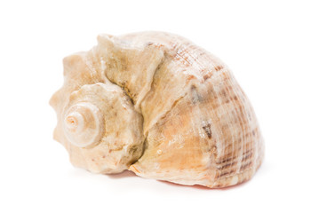 Similar image 5600449