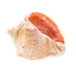 Similar image 5600451