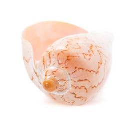 Similar image 5600453